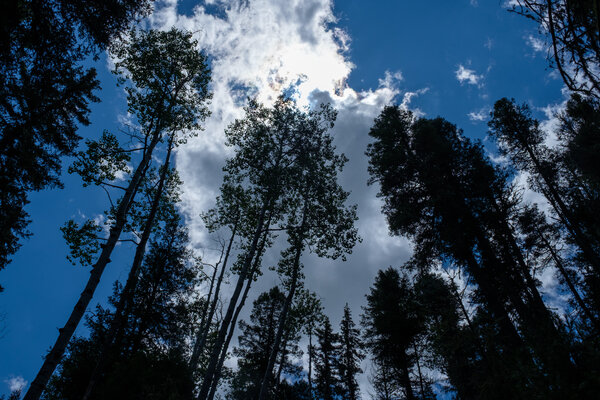 2019.08 Pecos Area Hiking