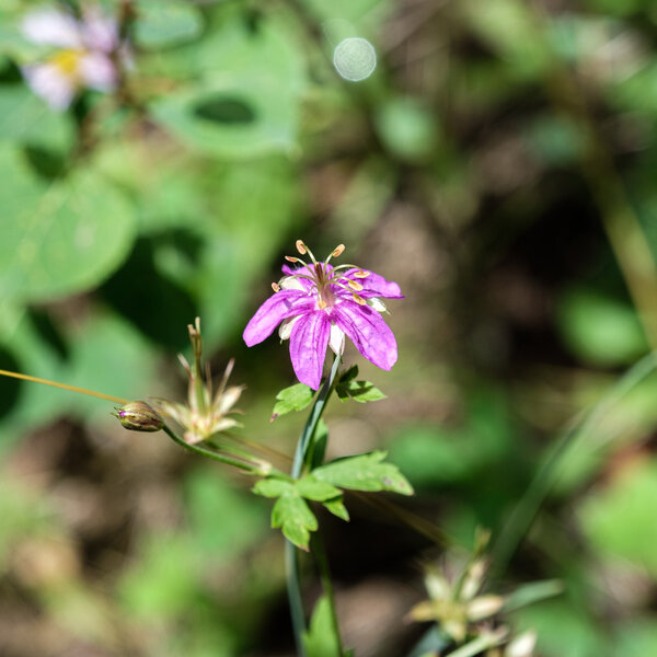 2019.08 Pecos Area Hiking