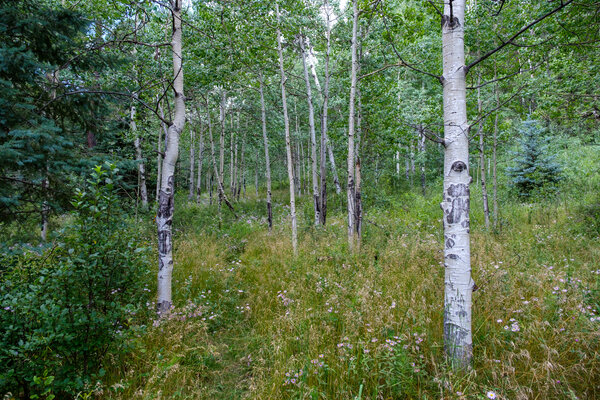 2019.08 Pecos Area Hiking