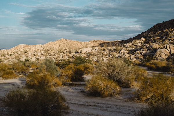 2020.10 California Camping