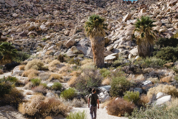 2020.10 California Camping