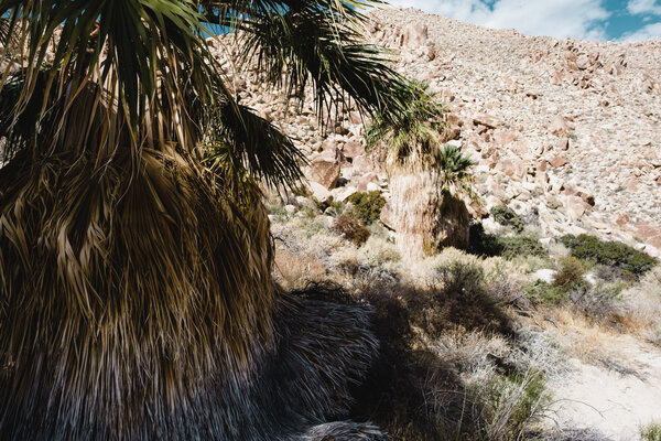 2020.10 California Camping