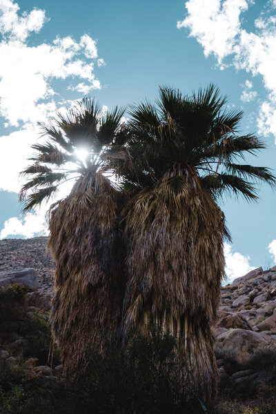 2020.10 California Camping