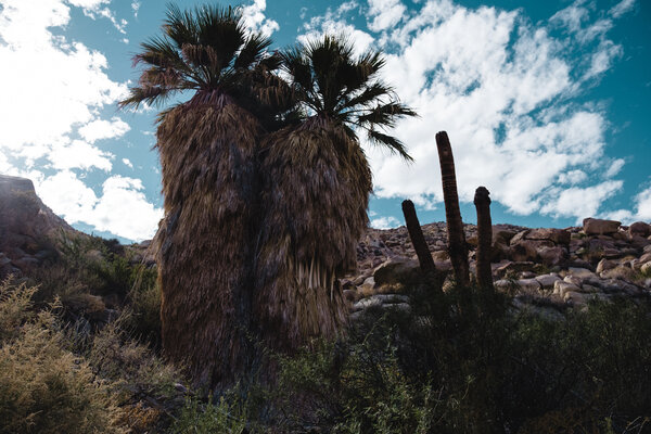 2020.10 California Camping