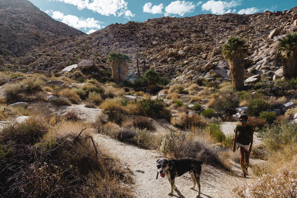 2020.10 California Camping