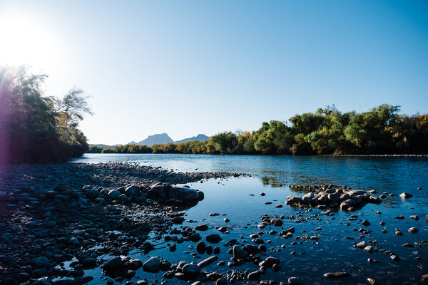 2020.11.07 Looking for Horses