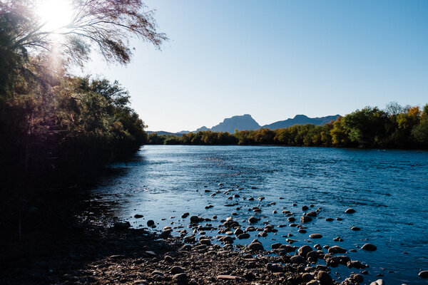 2020.11.07 Looking for Horses