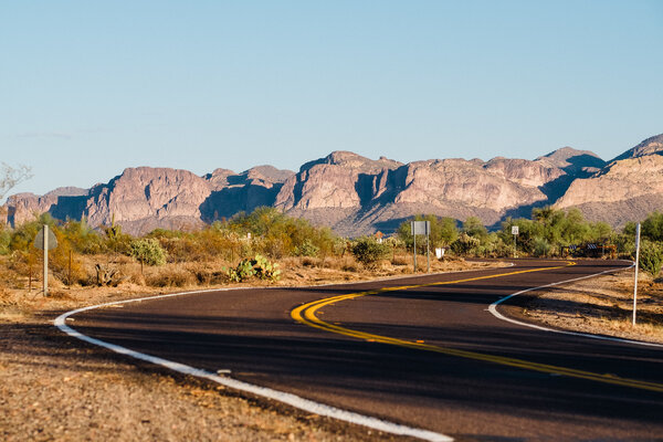 2020.11.07 Looking for Horses