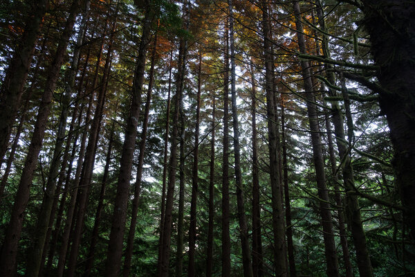 2021.06 West Coast Motorcycle Tour