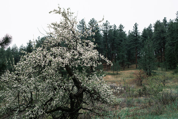 2025.04.26 Day in Boulder with Jeff, Diana, and Rowan